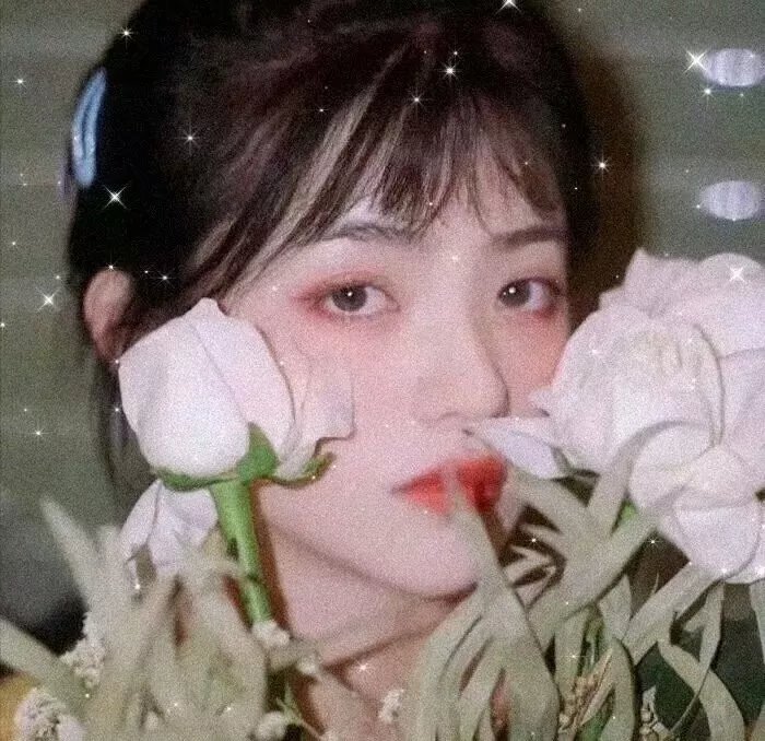 红壳的潘多拉