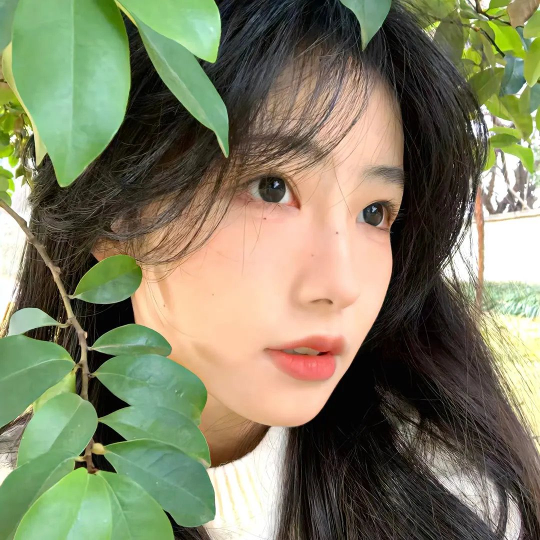 水母看世界